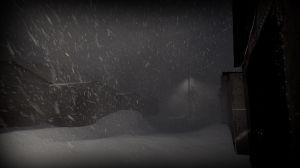 White Silence