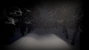 White Silence