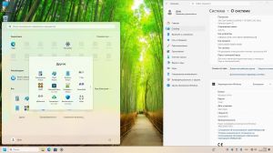 Windows 11 25h2 STORE (24in1) (build 26200.8875) by Izual Soft [v2026.07.15] [Ru/En]