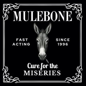 Mulebone - Cure For The Miseries