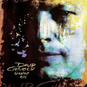 David Gilmour - Greatest Hits