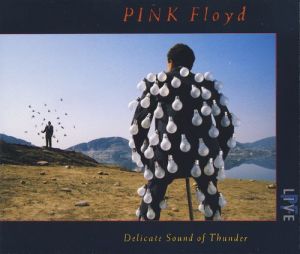  Pink Floyd - Delicate Sound of Thunder