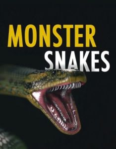 Nat Geo Wild: ����-�������