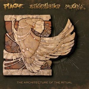 Attribute, Diligence, Plague - The Architecture Of The Ritual