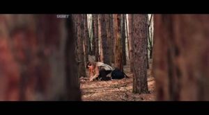 ���� � ������: �� ������ �����������