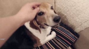 ���� � ������: �� ������ �����������