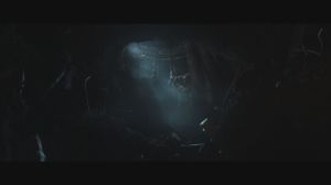 ��������: �������� ��������