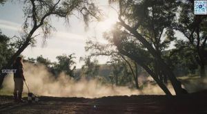 � ������ / � ����