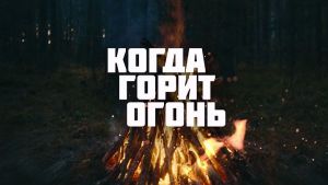 ����� ����� �����