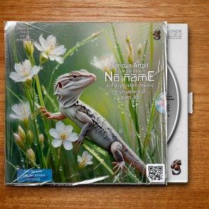 VA - No Name Compilation Simply Listen Music Part 99 Instrumental