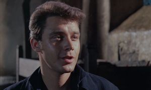 ������������ ������ / ������ �����������
