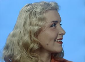 ��������� ����