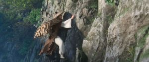����� ����: ����� �� ����