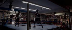 ����: �������� �����