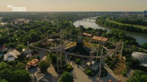 Viasat Nature: ��� ���� ����� ����� ��������