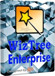 WizTree Enterprise 4.32 + Portable [Multi/Ru]
