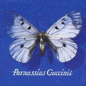 Francesco Guccini - Parnassius Guccinii