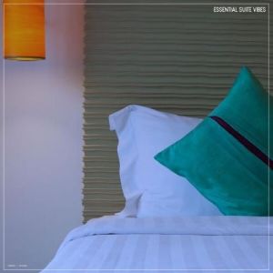 VA - Essential Suite Vibes