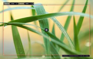 Movavi Video Suite 2026.1.1 RePack [MultiRu]