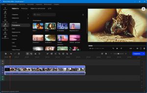 Movavi Video Suite 2026.1.1 RePack [MultiRu]