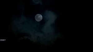 ������: �������� �����