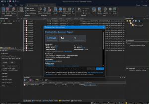 Duplicate File Detective Enterprise 8.0.83 [En]