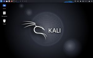 Kali Linux 2026.2 [amd64] 7xDVD