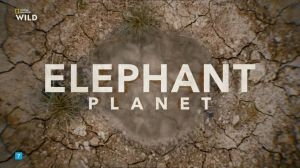 Nat Geo Wild: ������� ������