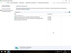 Windows 10 22H2 (19045.7663) x64 by Bruxer [Ru]