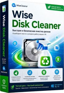 Wise Disk Cleaner 11.3.9.859 + Portable [Multi/Ru]