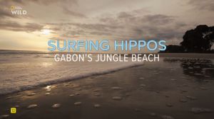 ��������-�������: ����������� - �����