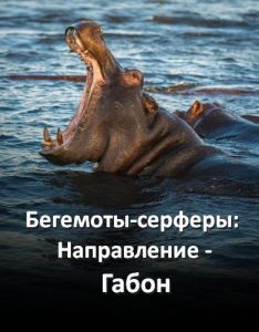 ��������-�������: ����������� - �����