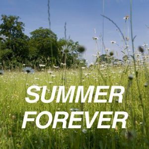 VA - Summer Forever