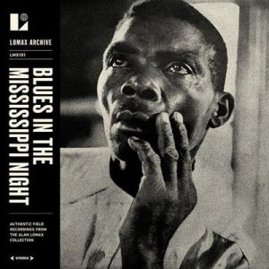 VA - Blues in the Mississippi Night