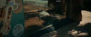��� ������