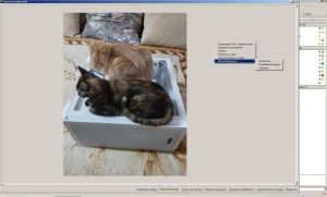 Tkabber-pack-1.1.2-20150510 (Tcl/Tk 8.6.4) [Multi/Ru]