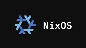 NixOS 26.05.8639 (KDE Plasma, Gnome) [x86_64] 2xDVD