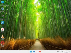 Windows 11 26H1 build 2800.2113 by godoffdarknavy [Ru]