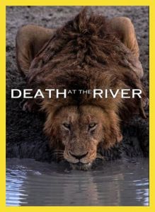 Nat Geo Wild: ������ � ����