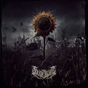 The Solarburst - ������ ���� ������, � �� �����‑������ ������ ���� �������