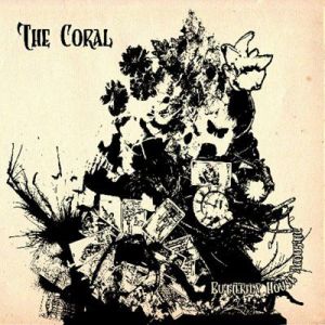 The Coral - Butterfly House [Acoustic Version]