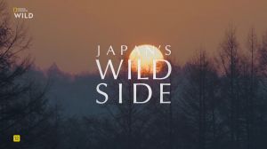 Nat Geo Wild: ����� ������