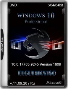 Windows 10 Pro (Version 1809) (x64) Elgujakviso Edition [Ru]