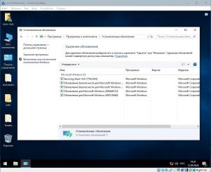 Windows 10 Pro (Version 1809) (x64) Elgujakviso Edition [Ru]