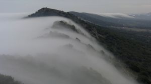 ������� ����� ������