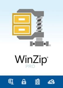 WinZip Pro 31.0.17240 [En]