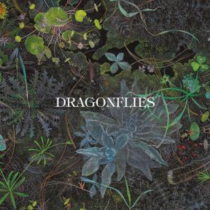 Dragonflies - Dragonflies