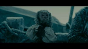 ������ ���������� ����: �� ���� �����