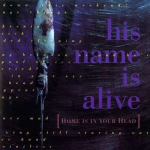 His Name Is Alive - Home Is in Your Head [2024 Remastered Edition]