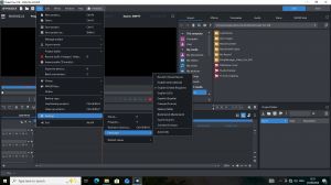 MAGIX Video Pro X18 24.0.1.342 [Multi]